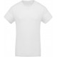 Camiseta algodón orgánico hombre